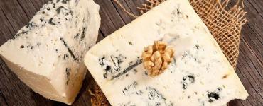 Изысканные продукты для нашего здоровья: что нужно знать о пользе и вреде сыра с плесенью