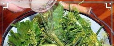 Nakladanie uhoriek v sude: základný recept a ako vyrobiť uhorky s chuťou „sud“ vo vedre alebo nádobe