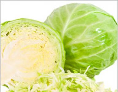 Cabbage recipes for preparing fresh cabbage