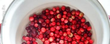 Cranberry mulled wine tea (non-alcoholic): recipe with photo