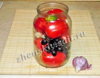 Canning tomatoes: storage conditions and the best recipes Recipe for Moldavian marinated tomatoes for the winter