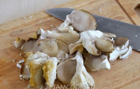 Traditional chicken with mushrooms in the oven White mushrooms with chicken in the oven