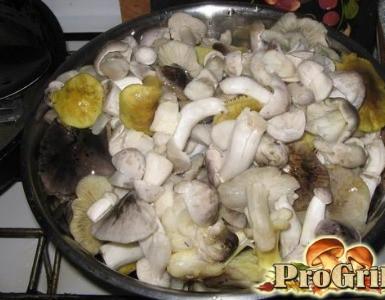Recipe: Salted mushrooms - hot method