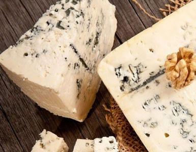 Gourmet products for our health: what you need to know about the benefits and harms of blue cheese
