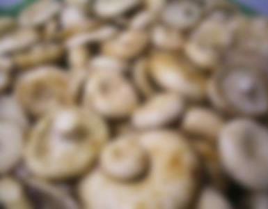 The best recipes for pickled milk mushrooms How to pickle black milk mushrooms for the winter