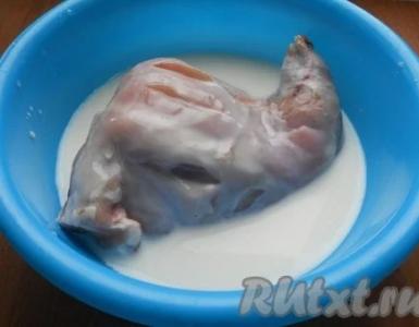 Hot rabbit dishes: Rabbit stewed in milk